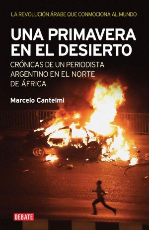 Cover of the book Una primavera en el desierto by José Meolans