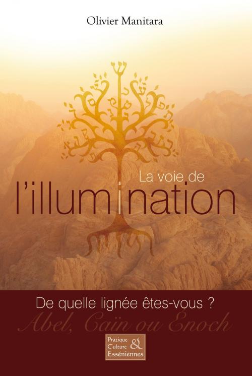 Cover of the book La voie de l'illumination by Olivier Manitara, Editions Essenia