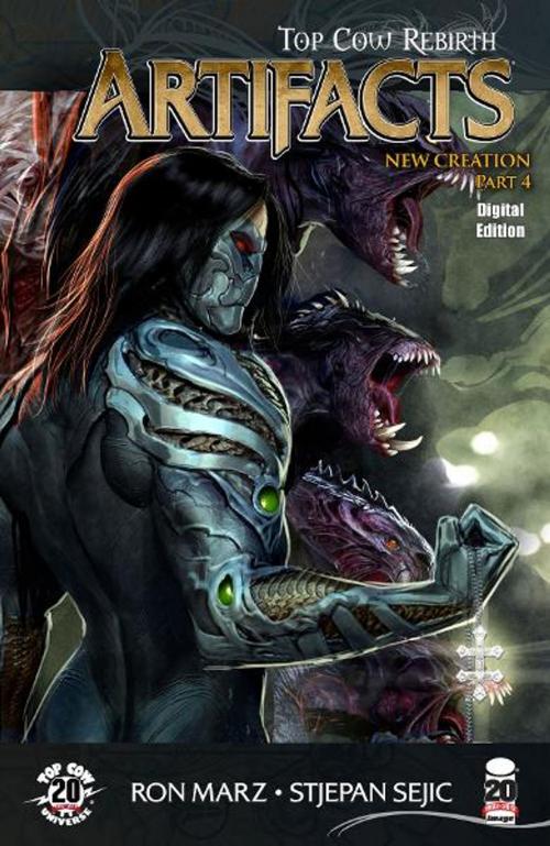 Cover of the book Artifacts #17 by Ron Marz, Jeremy Haun, Sunny Gho, Troy Peteri, Filip Sablik, Stjepan Sejic, Top Cow