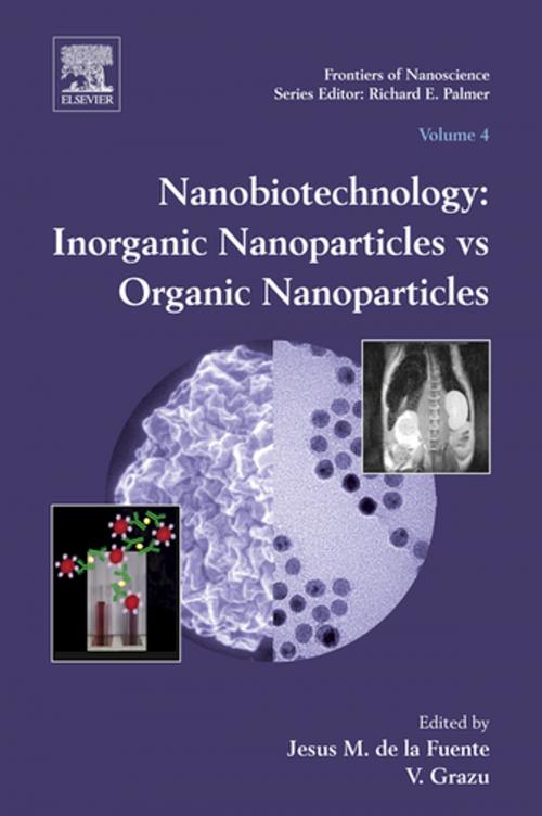 Cover of the book Nanobiotechnology by Jesus M. de la Fuente, V. Grazu, Elsevier Science