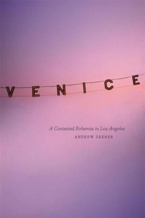 Cover of the book Venice by Andrew Deener, University of Chicago Press