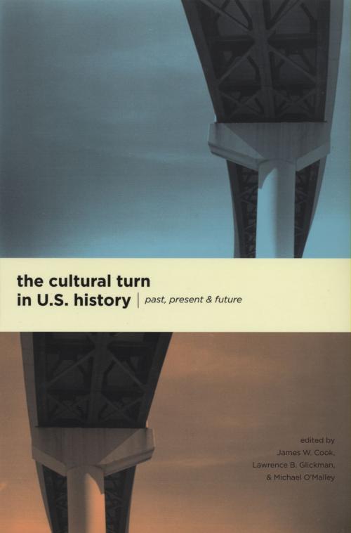 Cover of the book The Cultural Turn in U. S. History by , University of Chicago Press