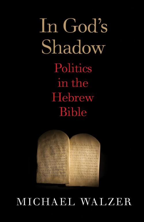 Cover of the book In God's Shadow: Politics in the Hebrew Bible by Michael Walzer, Yale University Press