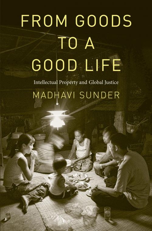 Cover of the book From Goods to a Good Life: Intellectual Property and Global Justice by Prof. Madhavi Sunder, J.D., Yale University Press