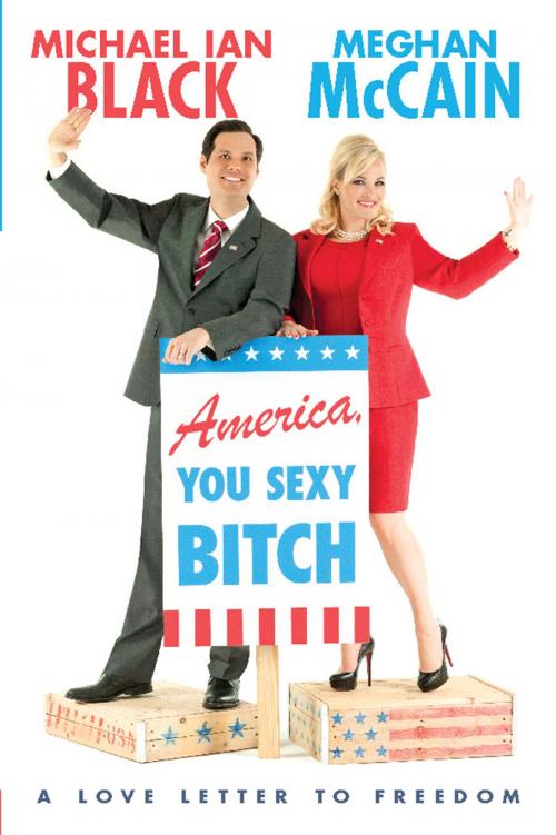 Cover of the book America, You Sexy Bitch by Meghan McCain, Michael Ian Black, Hachette Books