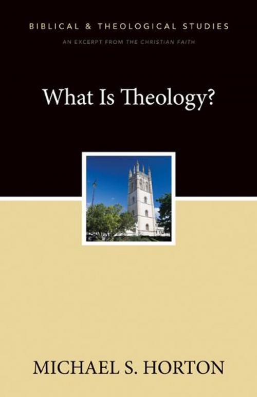 Cover of the book What Is Theology? by Michael Horton, Zondervan Academic