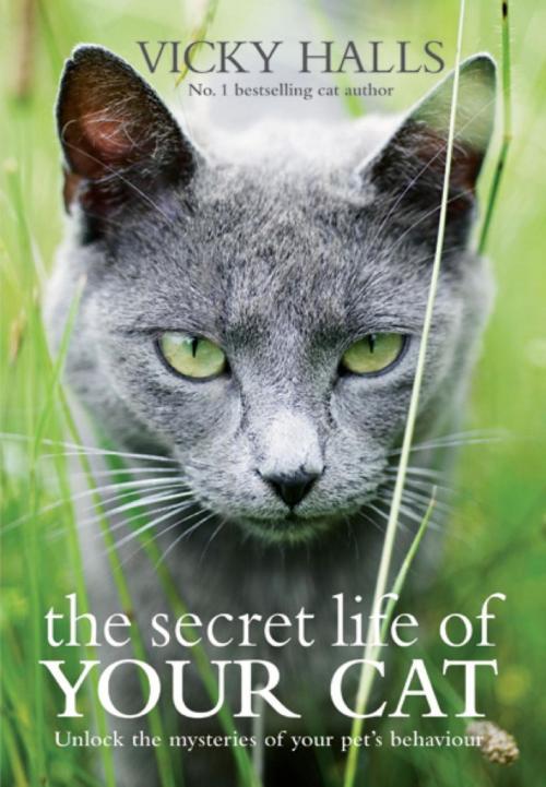 Cover of the book The Secret Life of your Cat by Vicky Halls, Octopus Books