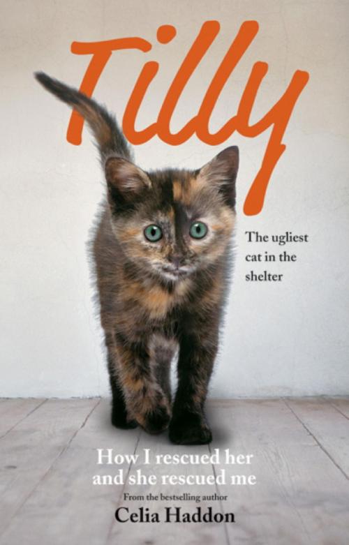 Cover of the book Tilly: The Ugliest Cat by Celia Haddon, Octopus Books