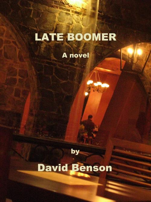 Cover of the book Late Boomer by David Benson, David Benson