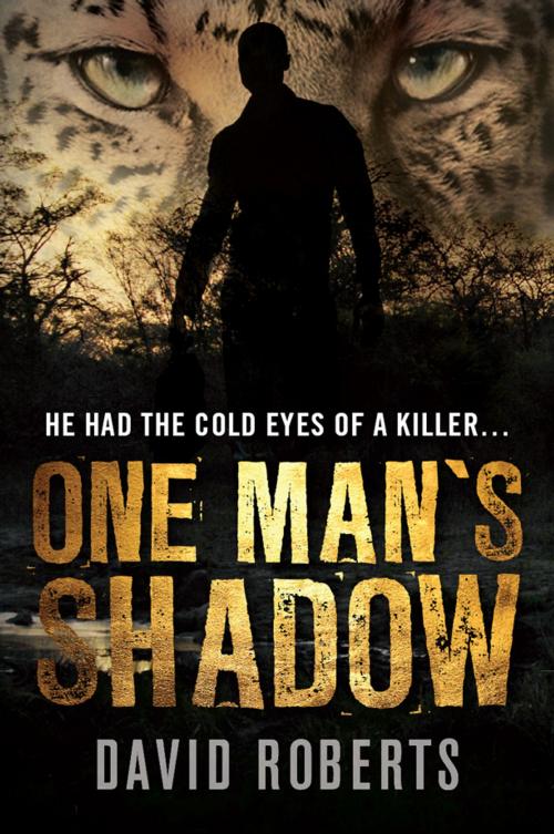 Cover of the book One Mans Shadow by David Roberts, Olive Tree Publishers