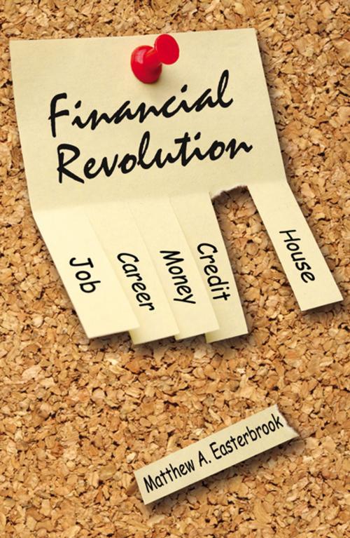 Cover of the book Financial Revolution by Matthew A. Easterbrook, Infinity Publishing