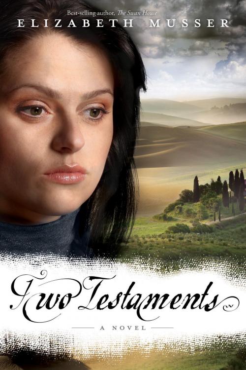Cover of the book Two Testaments by Elizabeth Musser, David C. Cook
