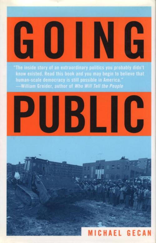 Cover of the book Going Public by Michael Gecan, Beacon Press