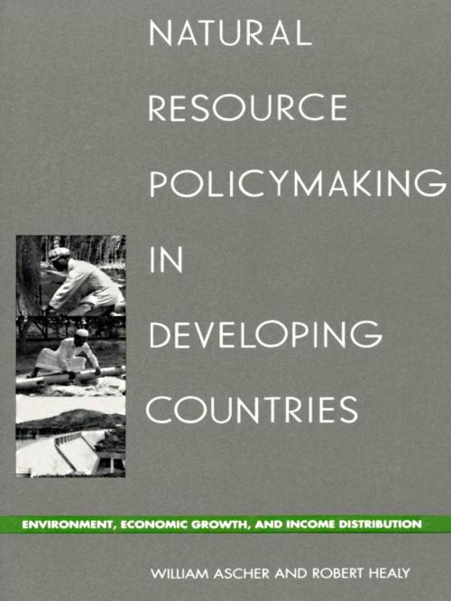 Cover of the book Natural Resource Policymaking in Developing Countries by William L. Ascher, Robert Healy, Duke University Press