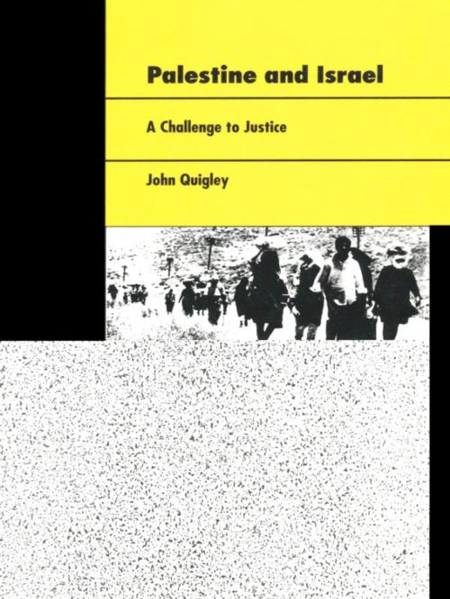 Cover of the book Palestine and Israel by John Quigley, Duke University Press