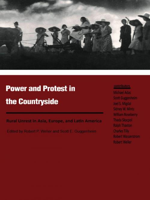 Cover of the book Power and Protest in the Countryside by , Duke University Press