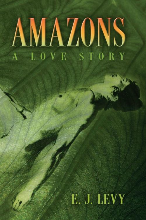 Cover of the book Amazons by Ellen Levy, University of Missouri Press