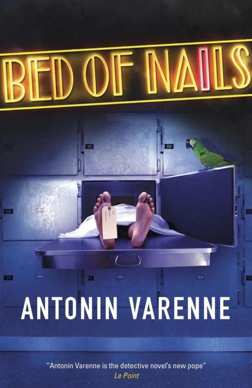Cover of the book Bed of Nails by Antonin Varenne, Quercus Publishing