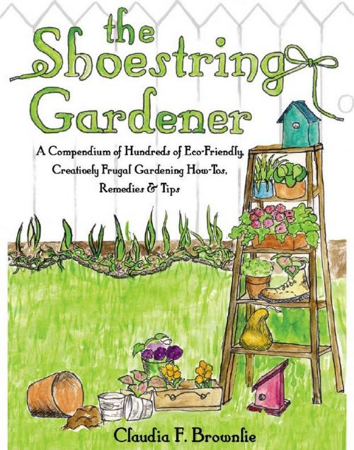 Cover of the book The Shoestring Gardener by Claudia Brownlie, Claudia Brownlie