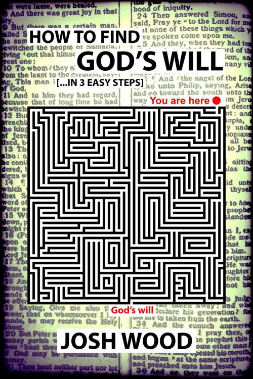 Cover of the book How to Find God's Will by Josh Wood, Josh Wood