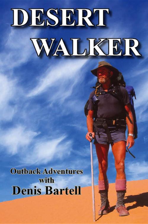 Cover of the book Desert Walker by Denis Bartell, Publicious Book Publishing