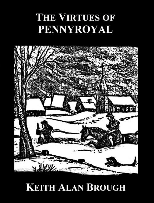 Cover of the book The Virtues of Pennyroyal by Keith Alan Brough, BookBaby