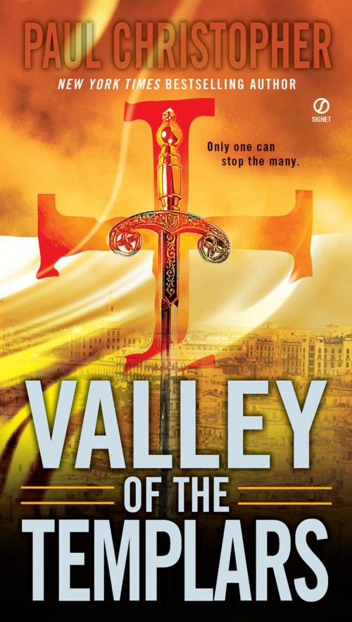 Cover of the book Valley of the Templars by Paul Christopher, Penguin Publishing Group