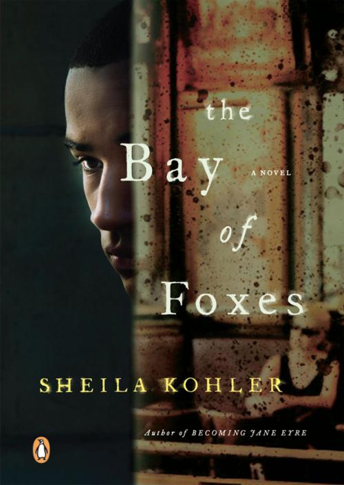 Cover of the book The Bay of Foxes by Sheila Kohler, Penguin Publishing Group