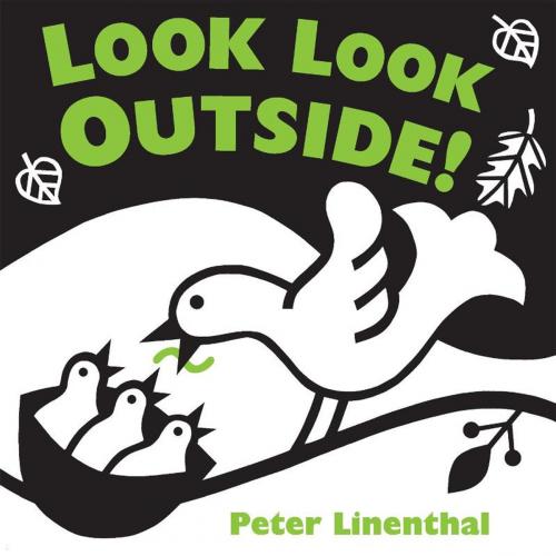Cover of the book Look Look Outside by Peter Linenthal, Penguin Young Readers Group
