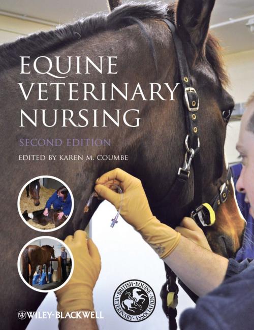 Cover of the book Equine Veterinary Nursing by , Wiley