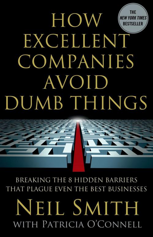 Cover of the book How Excellent Companies Avoid Dumb Things by Neil Smith, Patricia O'Connell, St. Martin's Press