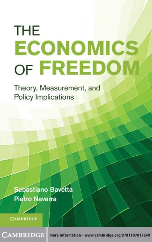 Cover of the book The Economics of Freedom by Professor Sebastiano Bavetta, Dr Pietro Navarra, Cambridge University Press