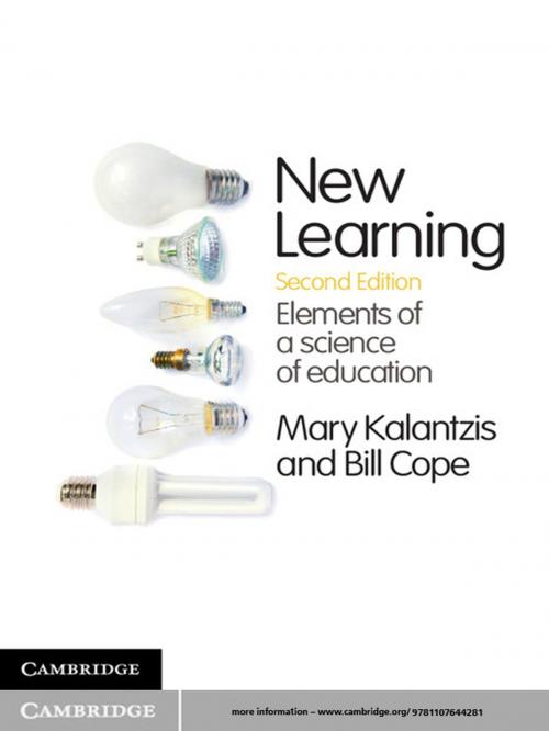 Cover of the book New Learning by Mary Kalantzis, Bill Cope, Cambridge University Press