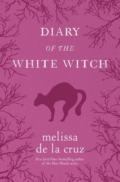 Cover of the book Diary of the White Witch by Melissa de la Cruz, Hachette Books