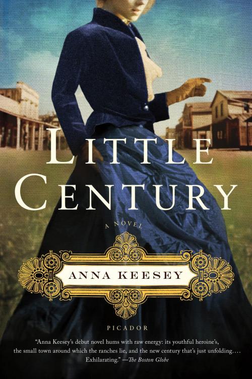 Cover of the book Little Century by Anna Keesey, Farrar, Straus and Giroux