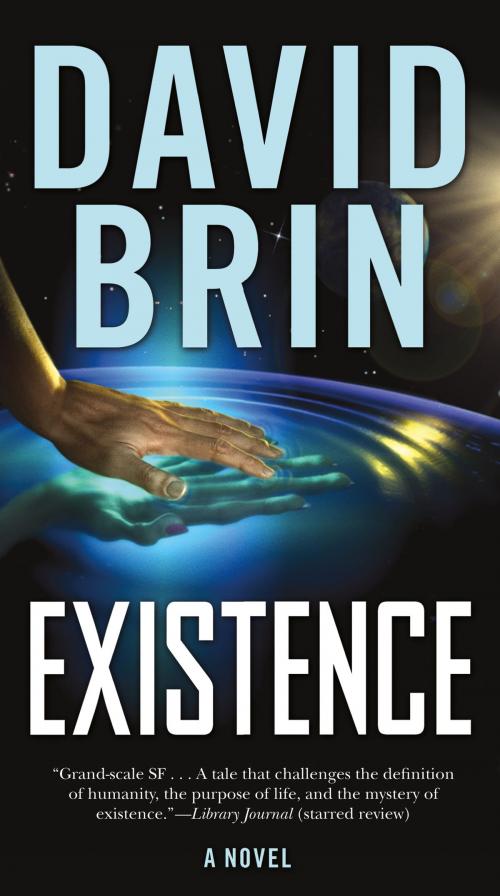 Cover of the book Existence by David Brin, Tom Doherty Associates