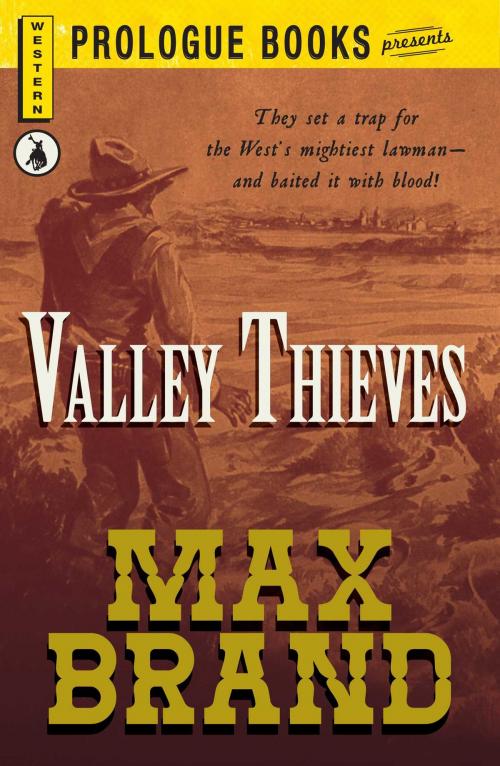 Cover of the book Valley Thieves by Max Brand, Adams Media