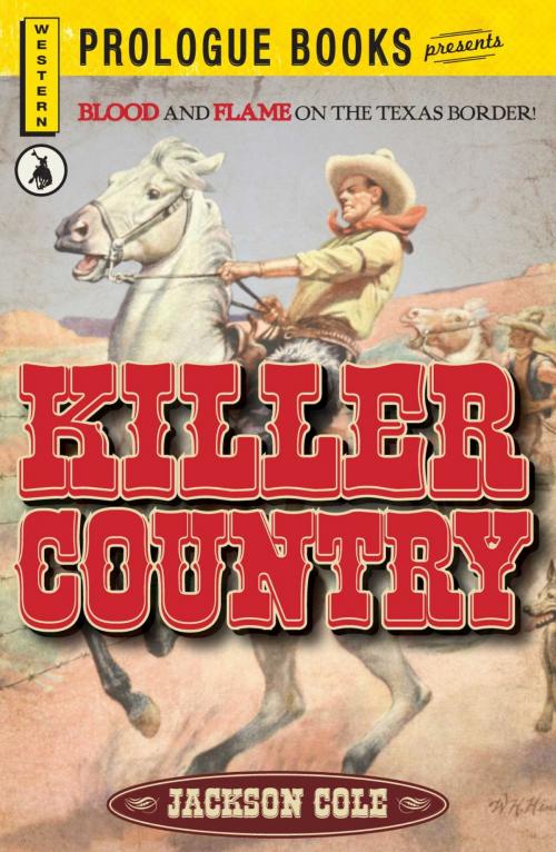 Cover of the book Killer Country by Jackson cole, Adams Media