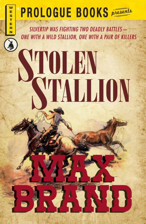 Cover of the book Stolen Stallion by Max Brand, Adams Media