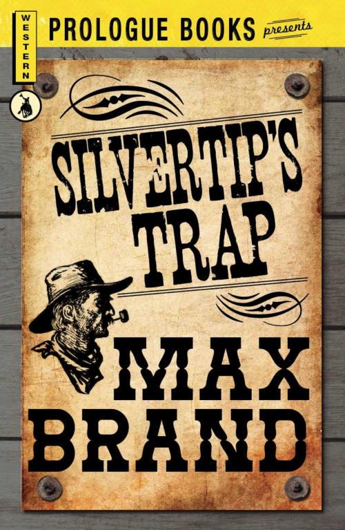 Cover of the book Silvertip's Trap by Max Brand, Adams Media