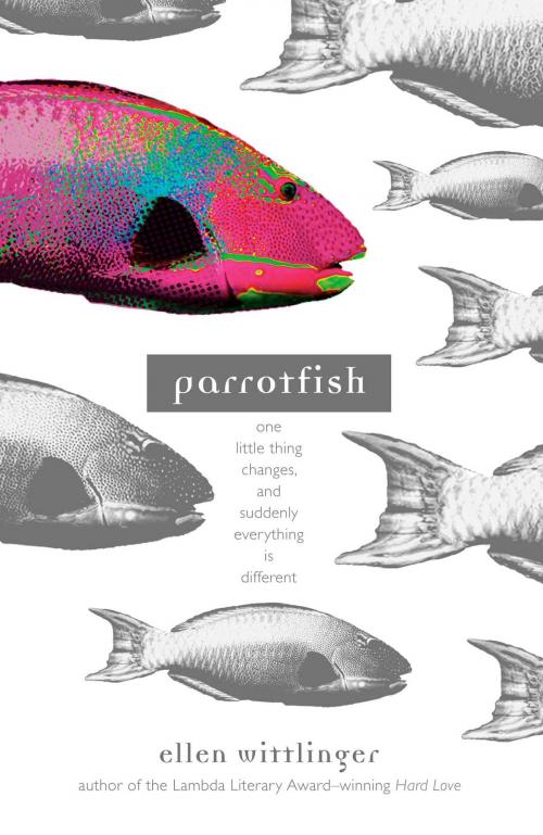 Cover of the book Parrotfish by Ellen Wittlinger, Simon & Schuster Books for Young Readers