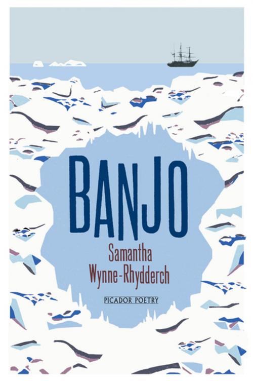 Cover of the book Banjo by Samantha Wynne-Rhydderch, Pan Macmillan