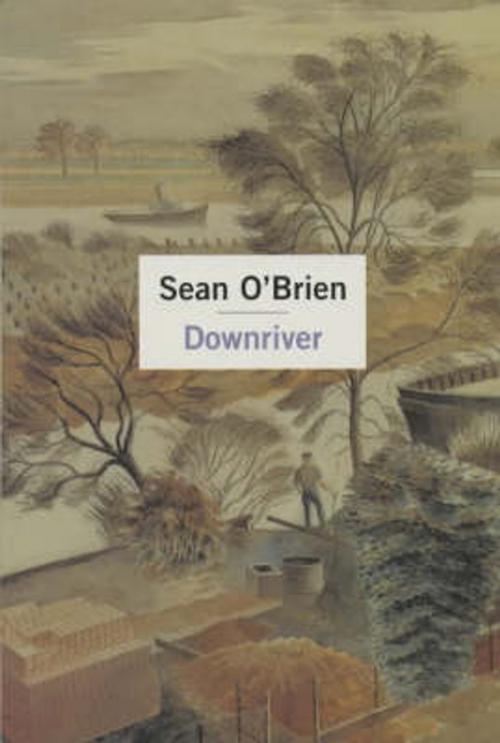 Cover of the book Downriver by Sean O'Brien, Pan Macmillan