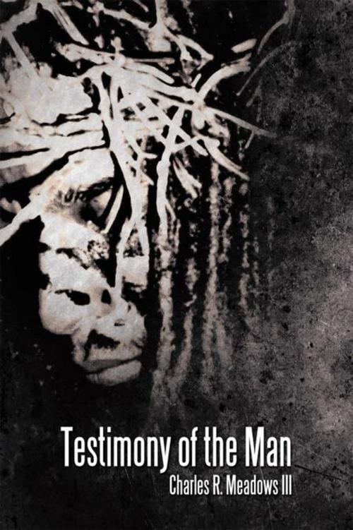 Cover of the book Testimony of the Man by Charles R. Meadows III, WestBow Press