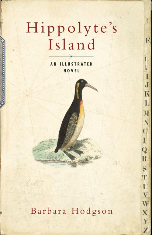 Cover of the book Hippolyte's Island by Barbara Hodgson, Chronicle Books LLC