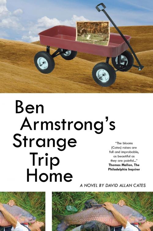 Cover of the book Ben Armstrong's Strange Trip Home by David Allan Cates, David Allan Cates