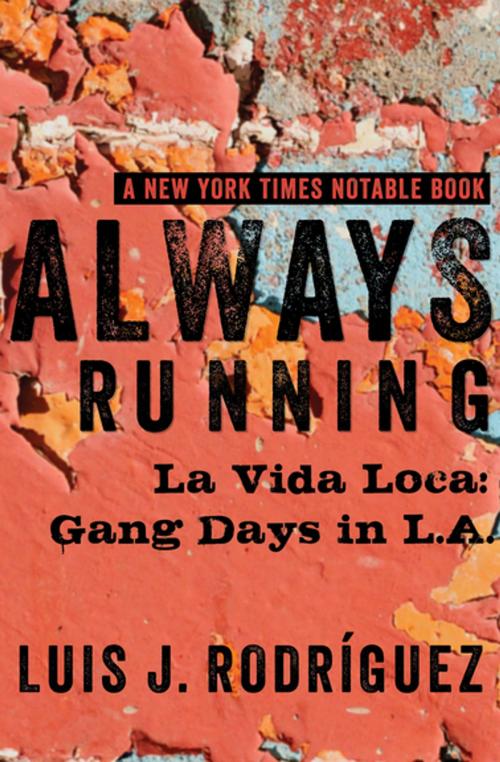 Cover of the book Always Running by Luis J. Rodríguez, Open Road Media
