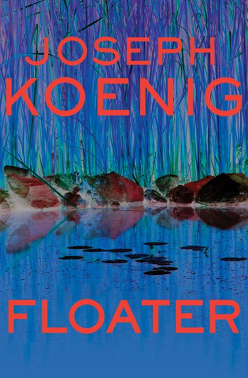 Cover of the book Floater by Joseph Koenig, MysteriousPress.com/Open Road