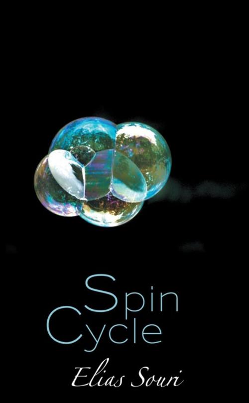 Cover of the book Spin Cycle by Elias Souri, Abbott Press