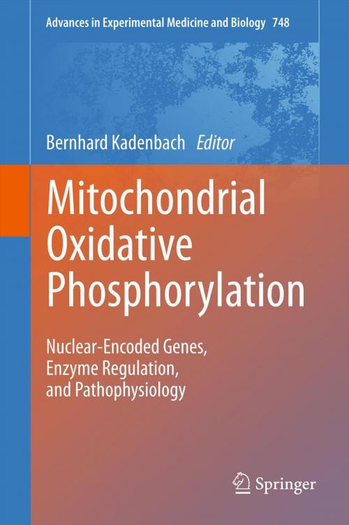 Cover of the book Mitochondrial Oxidative Phosphorylation by , Springer New York